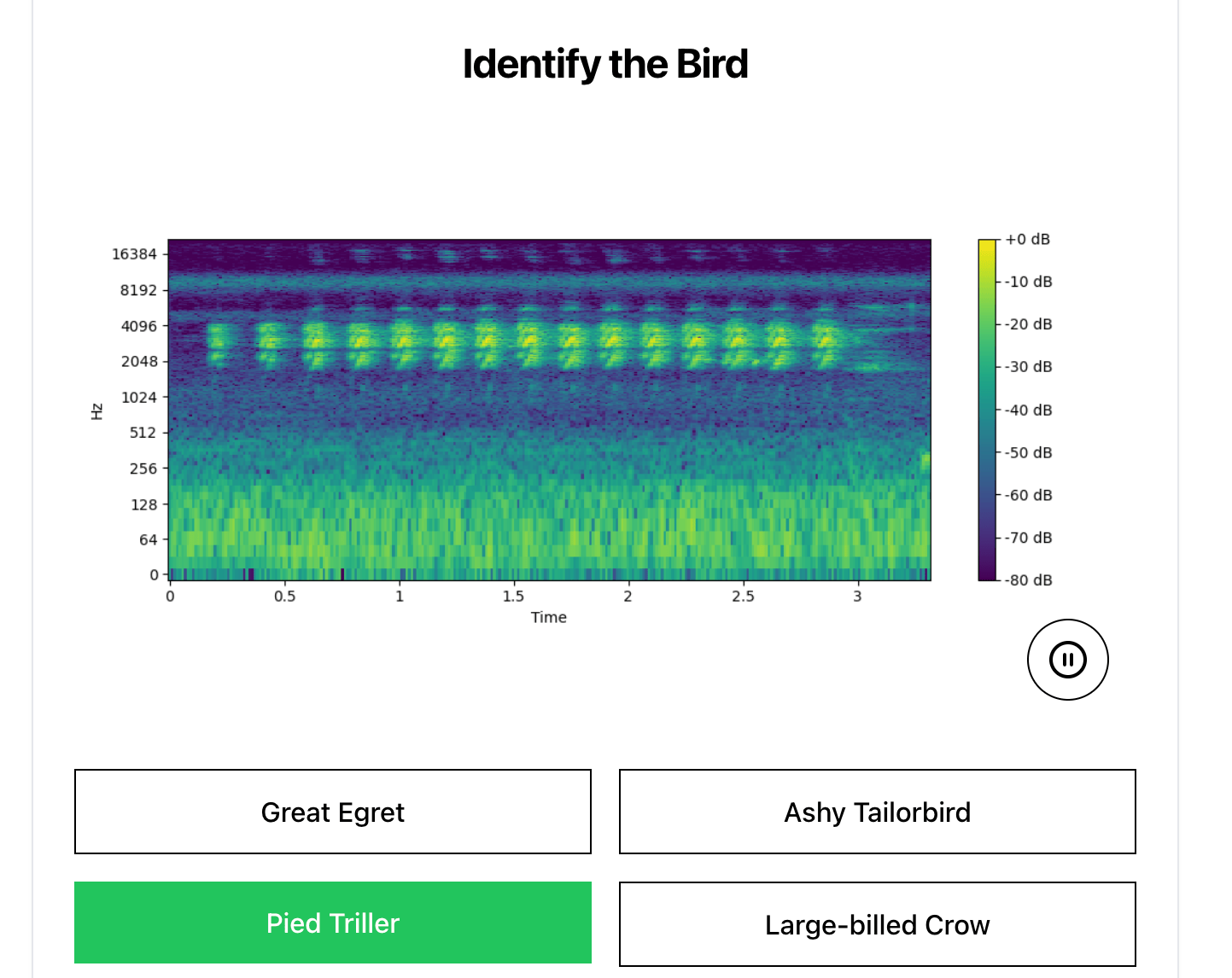 Learning Singapore’s Birds by Ear: A Look at the SingBirds Call Quiz