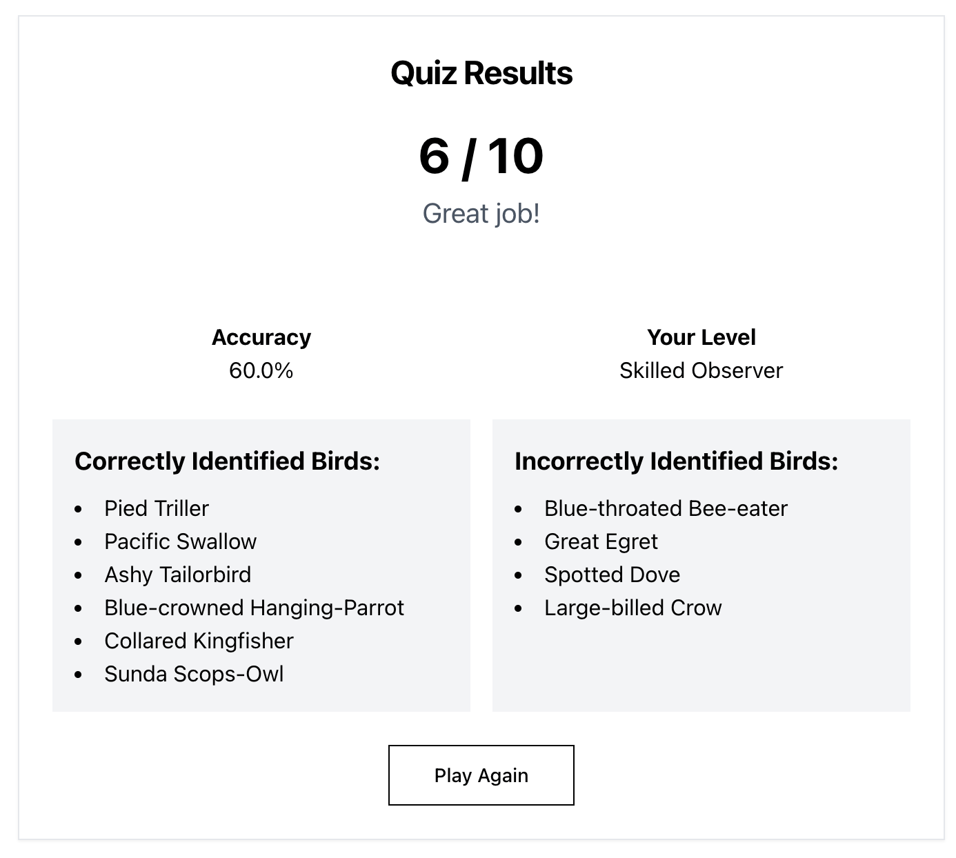 Learning Singapore’s Birds by Ear: A Look at the SingBirds Call Quiz gallery image
