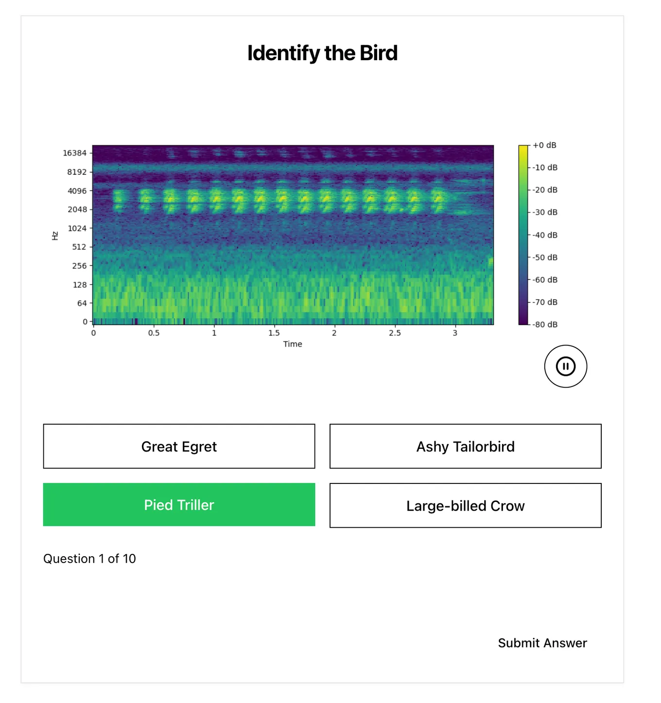 Learning Singapore’s Birds by Ear: A Look at the SingBirds Call Quiz screenshot